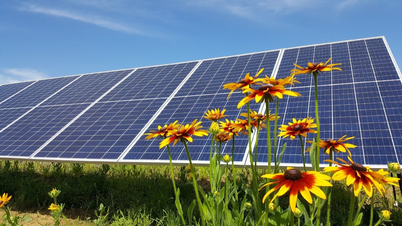 Why Solar Should Be Your Next Home Improvement