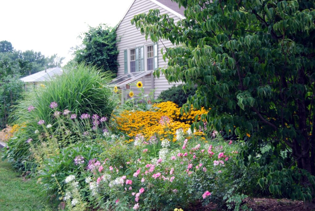 Image of a home with solar in Amherst, Ohio surrounded by pretty wildflowers
